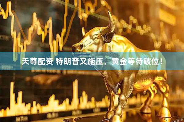 天尊配资 特朗普又施压，黄金等待破位！