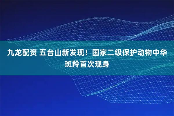 九龙配资 五台山新发现！国家二级保护动物中华斑羚首次现身
