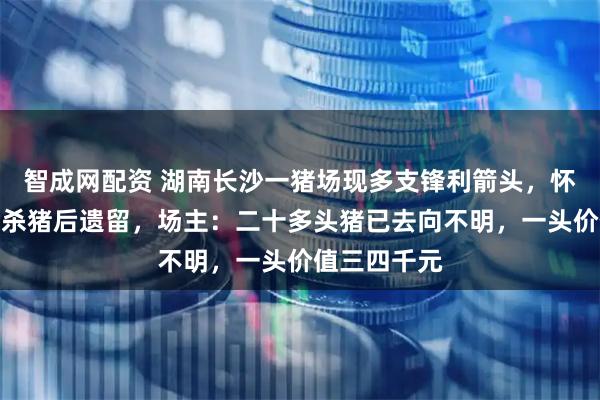 智成网配资 湖南长沙一猪场现多支锋利箭头，怀疑无人机射杀猪后遗留，场主：二十多头猪已去向不明，一头价值三四千元